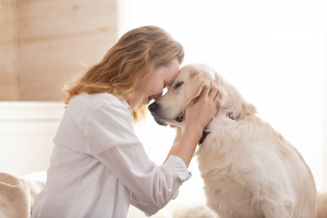 Illustration : "La relation affective avec votre vieux chien"