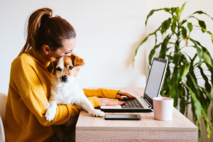 Illustration : "L'impact du deuil animalier sur la vie professionnelle"