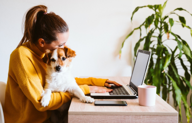 Illustration : L'aide des réseaux sociaux pour faire le deuil de son animal