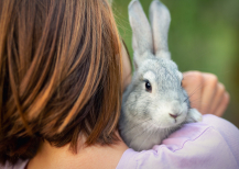 Illustration : Faire le deuil de son lapin