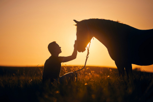 Illustration : "Faire le deuil de son cheval"