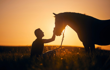 Illustration : Faire le deuil de son cheval