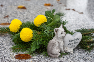 Illustration : "Les plaques funéraires pour animaux"