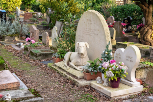 Illustration : "Enterrer son animal dans un cimetière animalier"