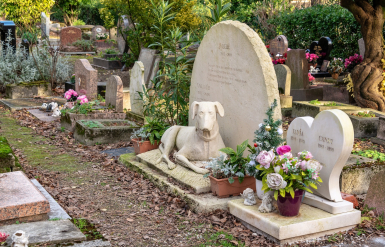 Illustration : Enterrer son animal dans un cimetière animalier