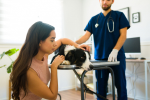 Illustration : "L’accompagnement de l’équipe vétérinaire dans le deuil animalier"